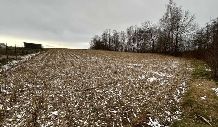 Działka rolno-budowlana Królówka