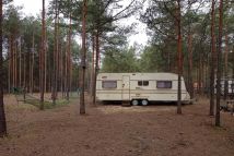 Działka leśna Borsk. Zdjęcie 1