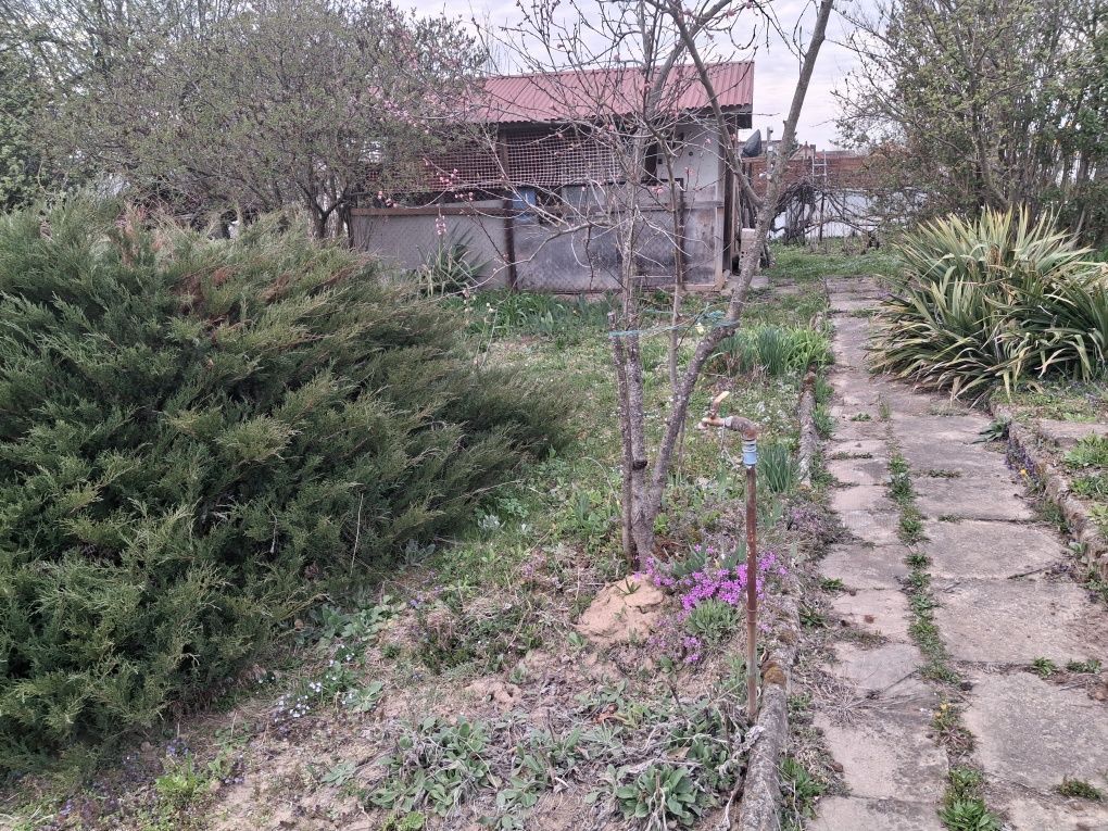 Działka rod Jarosław. Zdjęcie 5