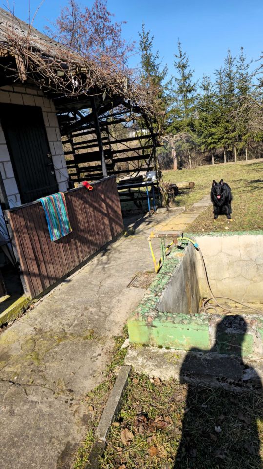 Działka rod Radom Wacyn, ul. Osiowa. Zdjęcie 4