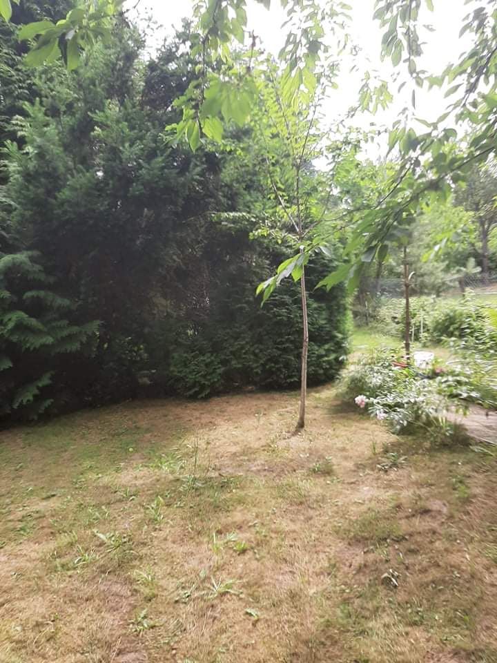 Działka rod Gdańsk Złota Karczma, ul. mjr. Mieczysława Słabego. Zdjęcie 3