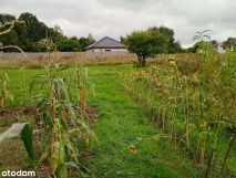 Działka budowlana Chociwel, ul. Piastowska. Zdjęcie 4