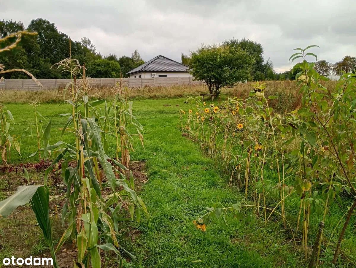 Działka budowlana Chociwel, ul. Piastowska. Zdjęcie 5