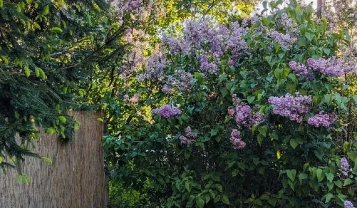 Mieszkanie 2-pokojowe Wrocław Krzyki, ul. Południowa