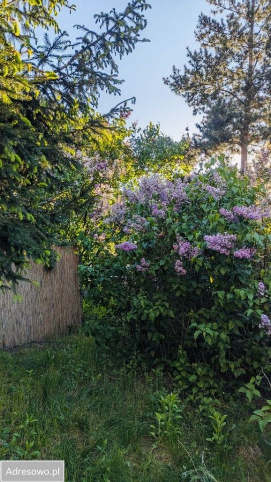 Mieszkanie 2-pokojowe Wrocław Krzyki, ul. Południowa. Zdjęcie 5