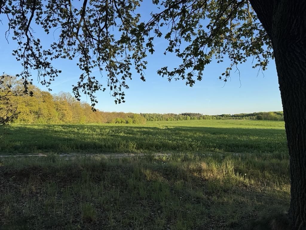 Działka budowlana Poznań Strzeszyn. Zdjęcie 9