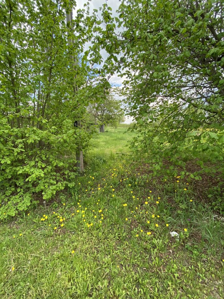 Działka rolno-budowlana Cegielnia, Cegielnia. Zdjęcie 7