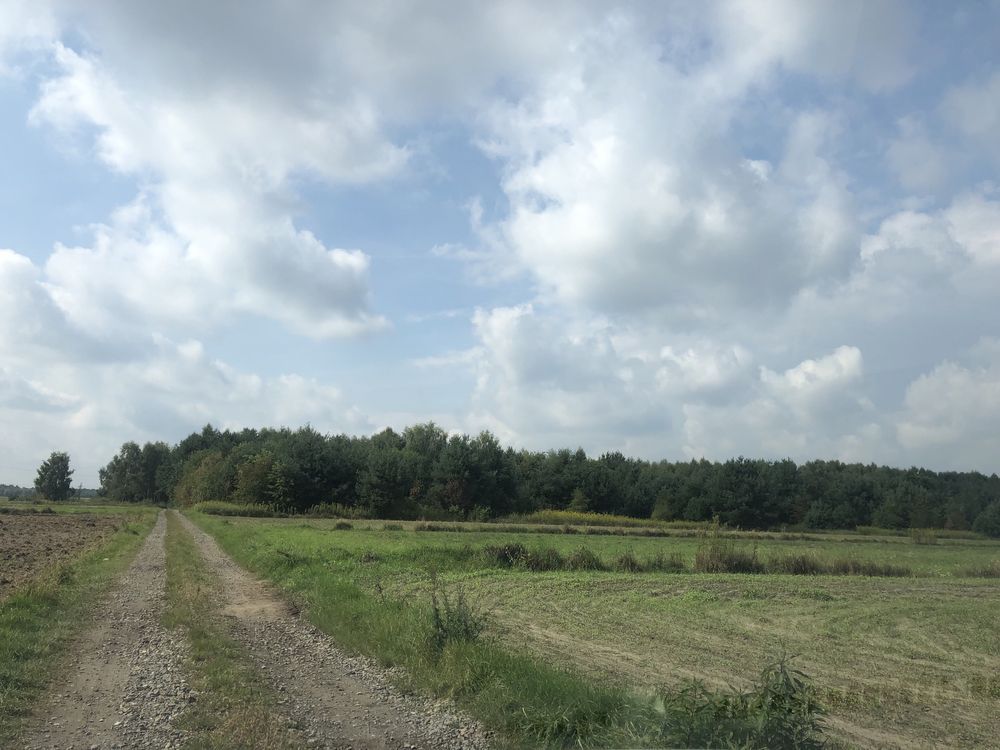 Działka budowlana Przecław, ul. Leśna. Zdjęcie 7