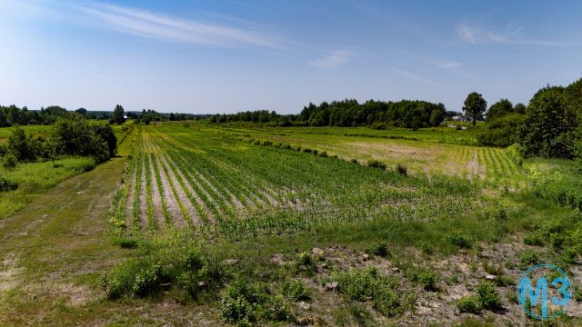 Działka inwestycyjna Podborze. Zdjęcie 5
