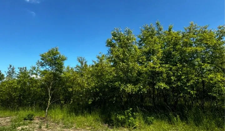 Działka budowlana Wszemirów