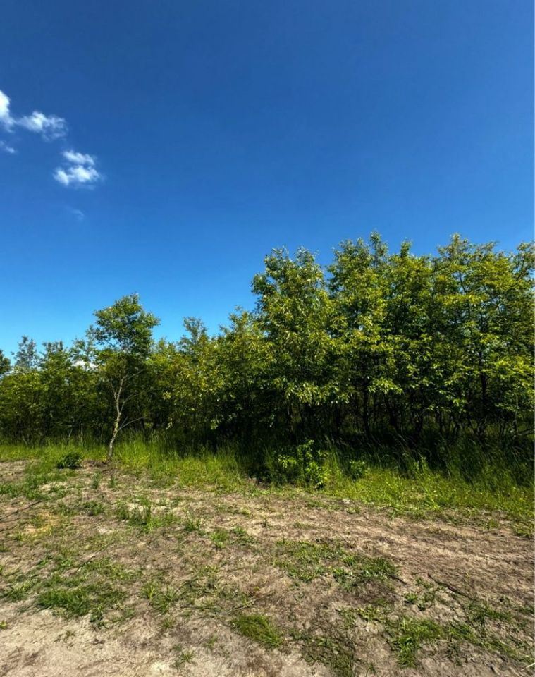 Działka budowlana Wszemirów