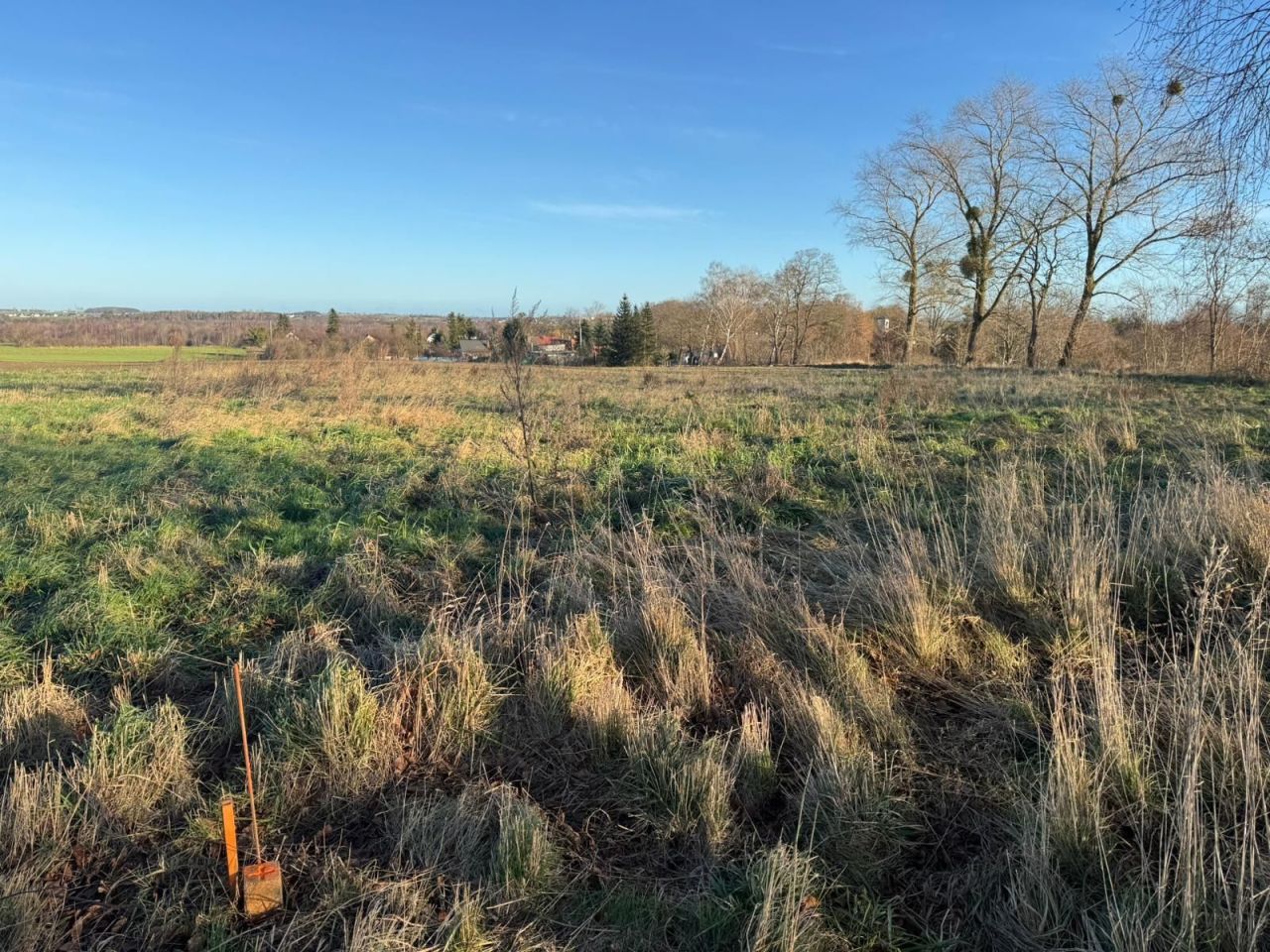 Działka budowlana Starzyński Dwór. Zdjęcie 4