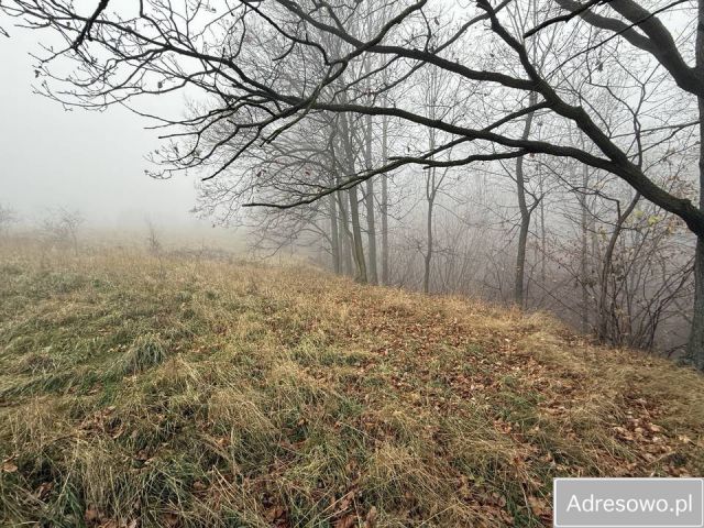 Działka budowlana Mikołajów. Zdjęcie 1