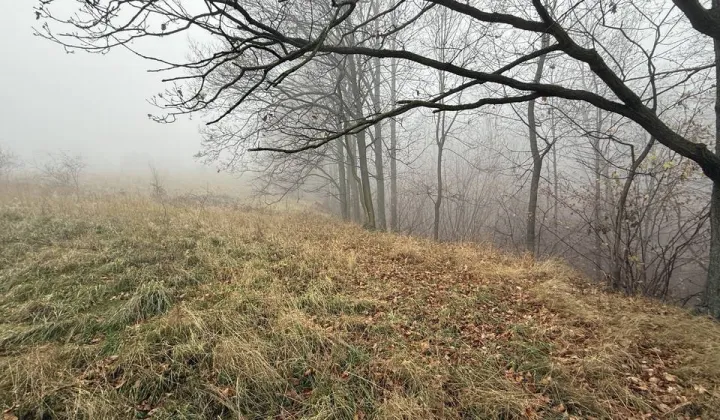 Działka budowlana Mikołajów