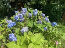 Działka rod Słupsk. Zdjęcie 3