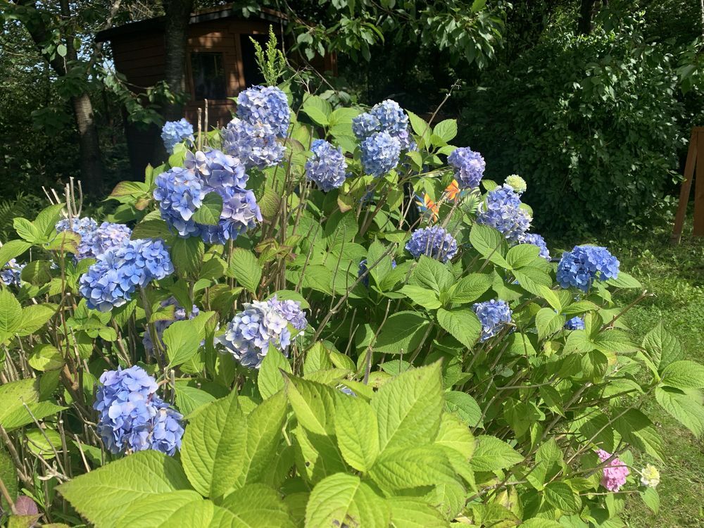 Działka rod Słupsk. Zdjęcie 4