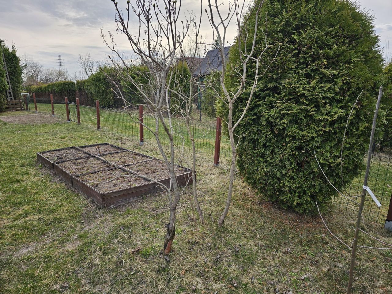 Działka rod Tomaszów Lubelski. Zdjęcie 2