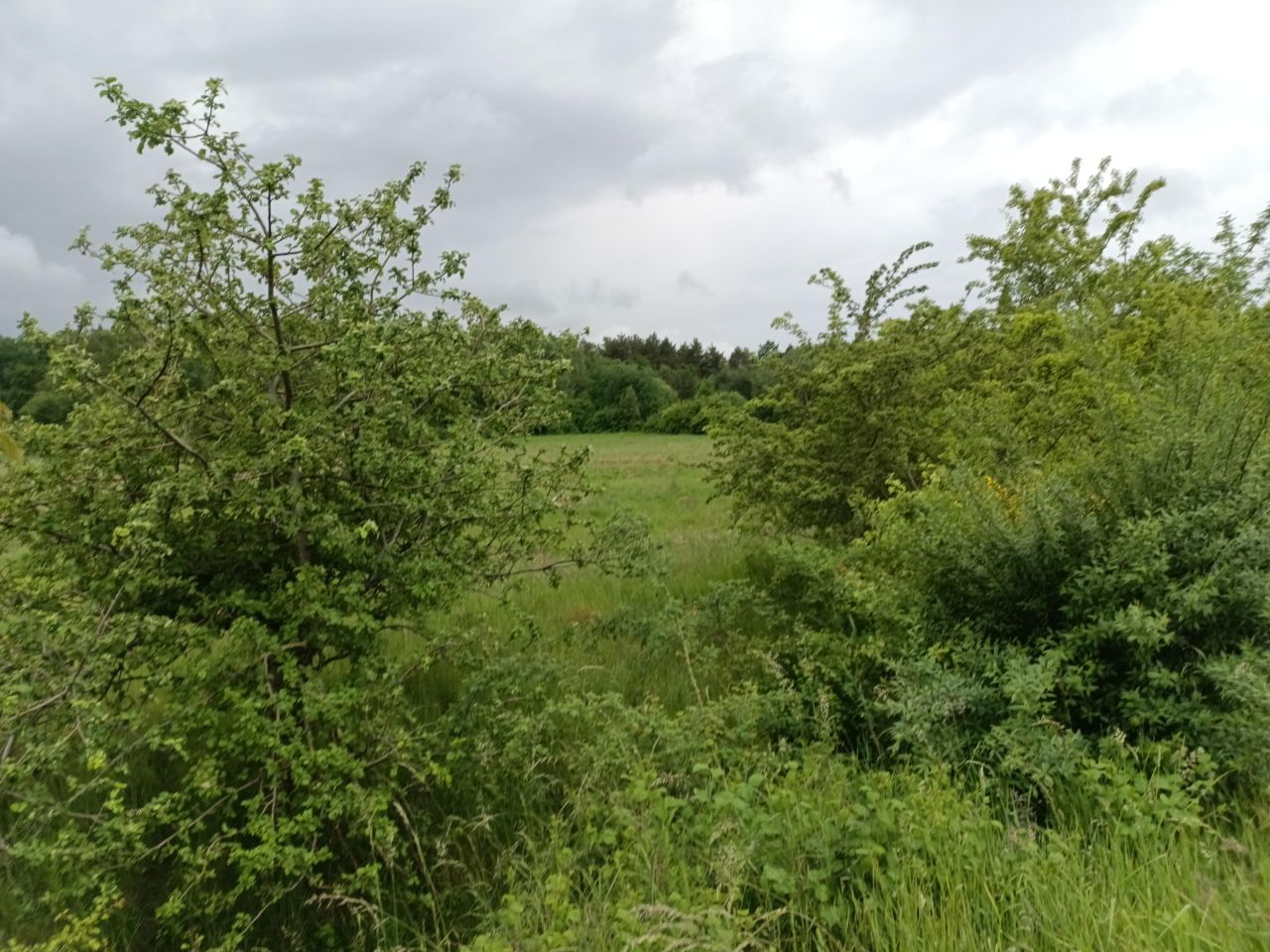 Działka budowlana Charnowo. Zdjęcie 6