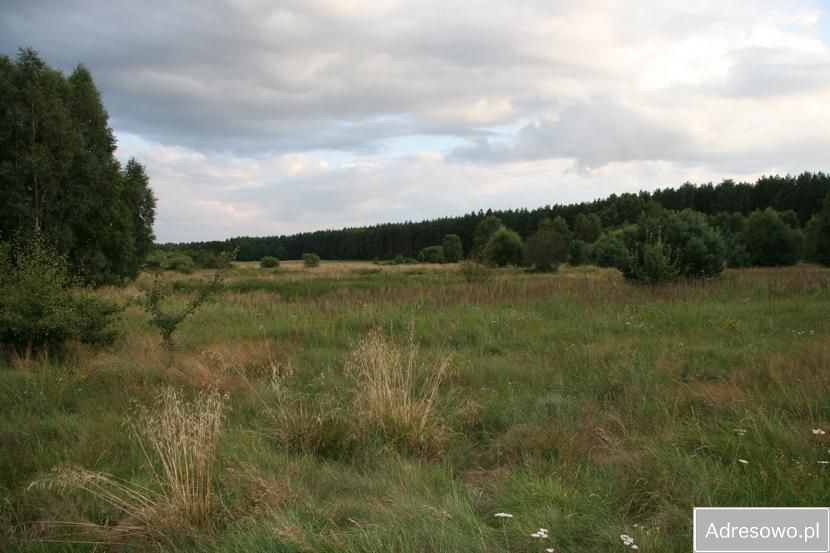 Działka rekreacyjna Ostroróg. Zdjęcie 7