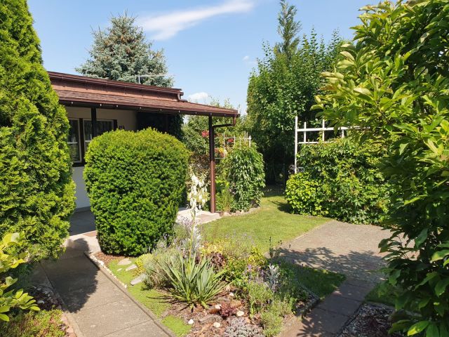 Działka rod Koninko, ul. Porzeczkowa. Zdjęcie 10