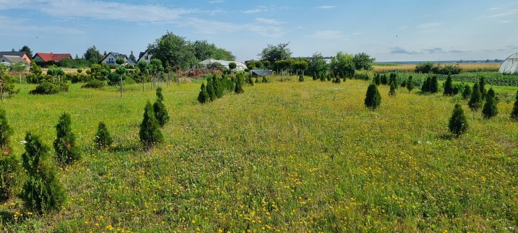 Działka budowlana Pisarzowice, ul. Świerkowa. Zdjęcie 2