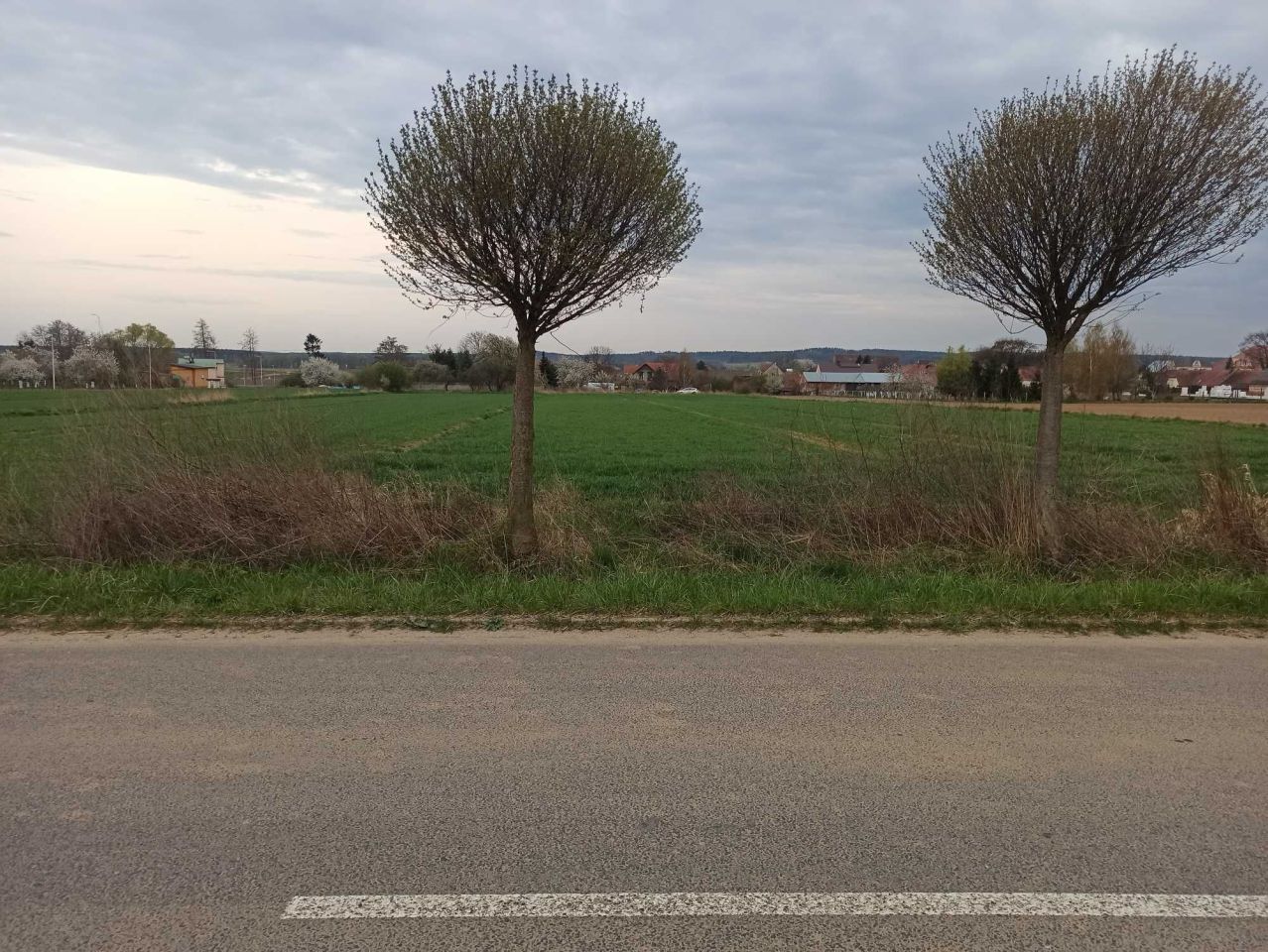 Działka budowlana Kwielice. Zdjęcie 6