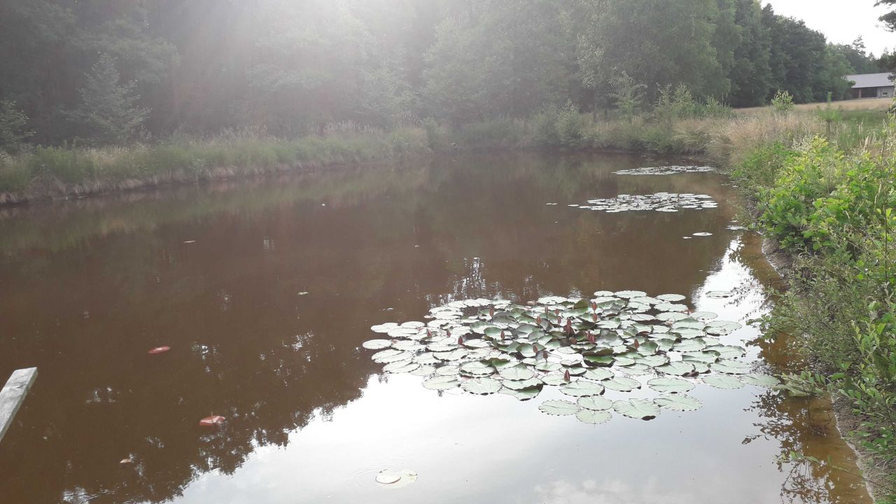 Działka Ostrzeszów. Zdjęcie 4