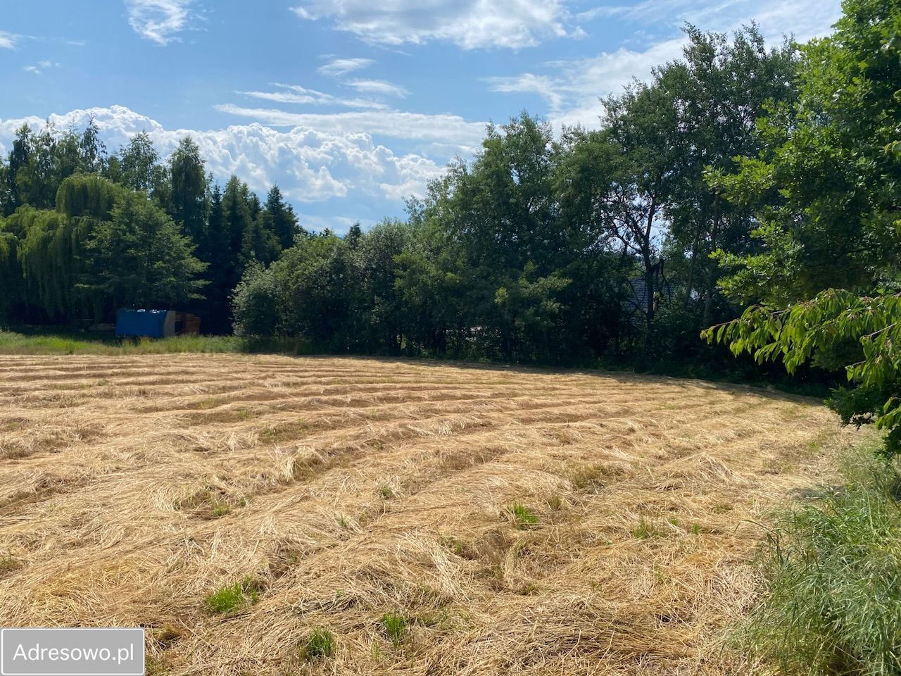 Działka budowlana Bodzanów. Zdjęcie 8