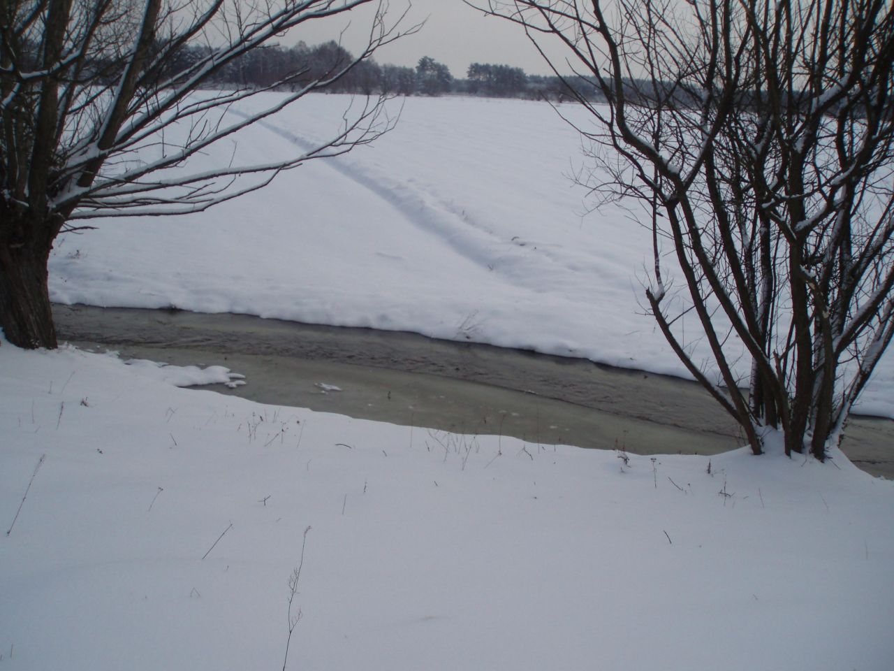 Działka inna Popielżyn Dolny. Zdjęcie 7