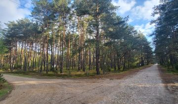 Działka leśna Popowo-Letnisko, al. Kamienna