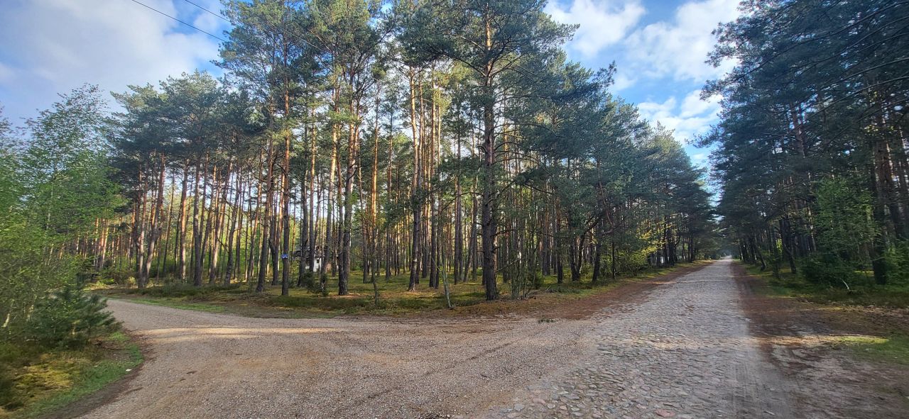 Działka leśna Popowo-Letnisko, al. Kamienna. Zdjęcie 2