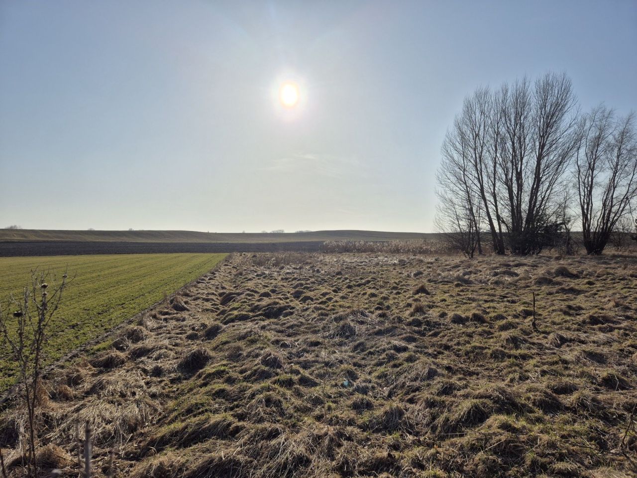 Działka budowlana Lednogóra. Zdjęcie 7