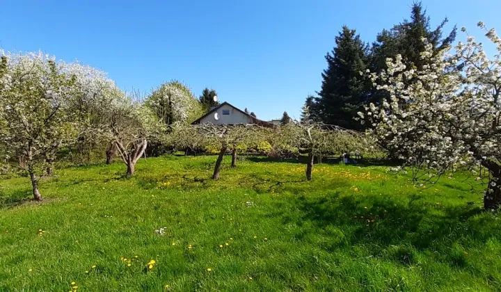 dom Gronowo Górne, ul. Szafirowa