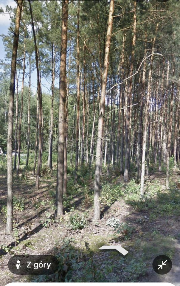 Działka na sprzedaż bez pośredników
ul. Zagajnikowa
Huta Dłutowska