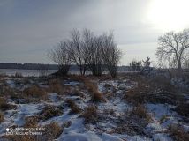 Działka siedliskowa Ostrówki. Zdjęcie 2
