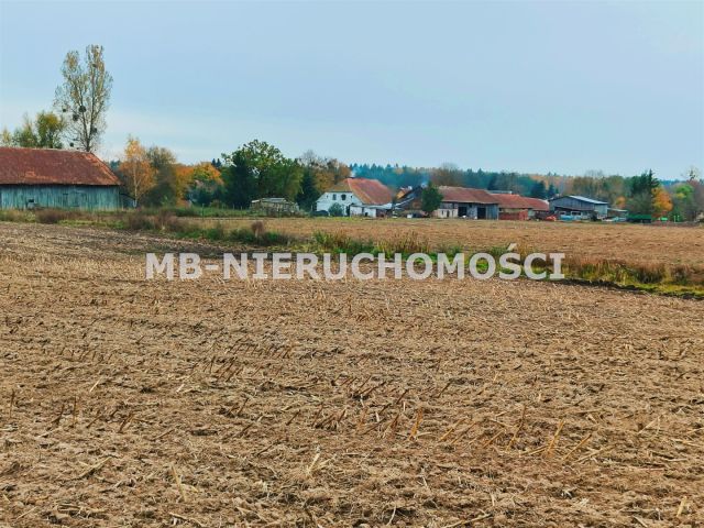 Działka rolna Mingajny. Zdjęcie 1