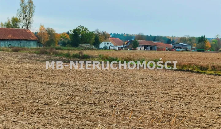 Działka rolna Mingajny