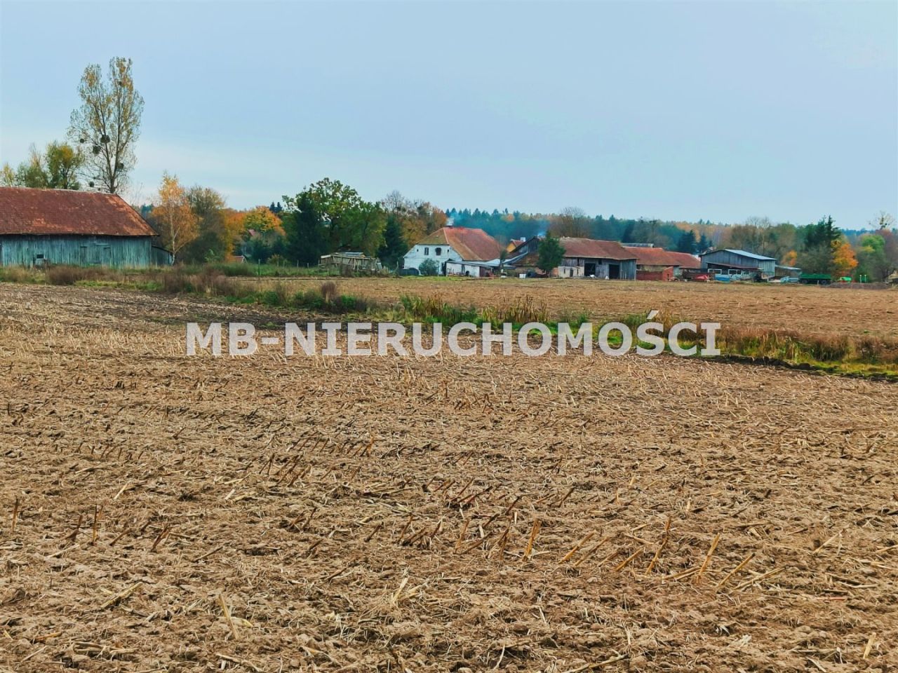 Działka rolna Mingajny. Zdjęcie 1