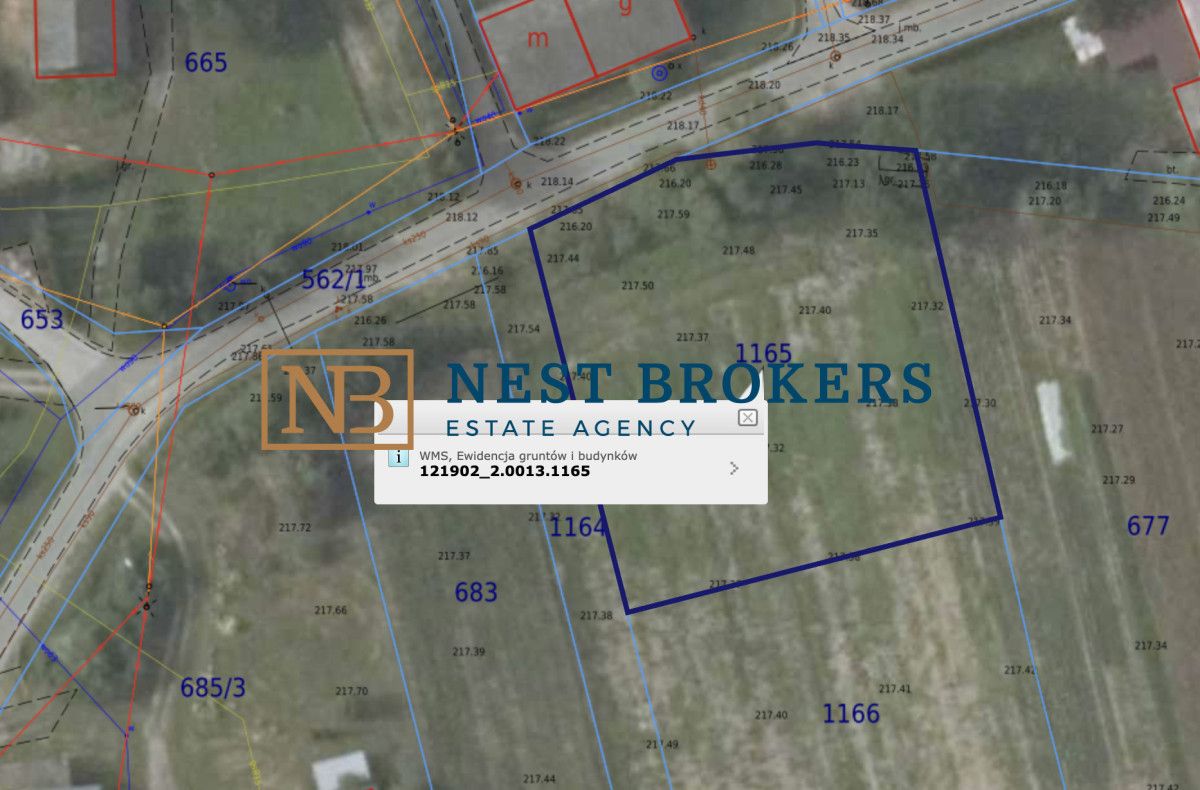 dom wolnostojący, 5 pokoi Marszowice. Zdjęcie 9