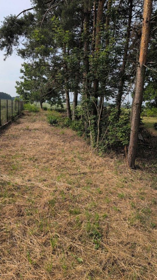 Działka budowlana Nowa Górna. Zdjęcie 7