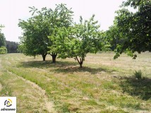 Działka rolna Redlanka. Zdjęcie 3