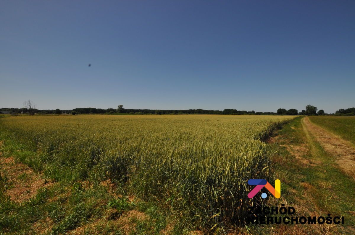 Działka rolna Zielona Góra Zawada. Zdjęcie 3
