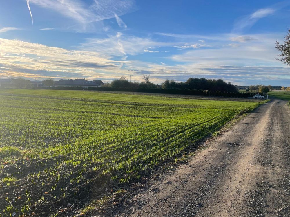 Działka budowlana Małuszów. Zdjęcie 8