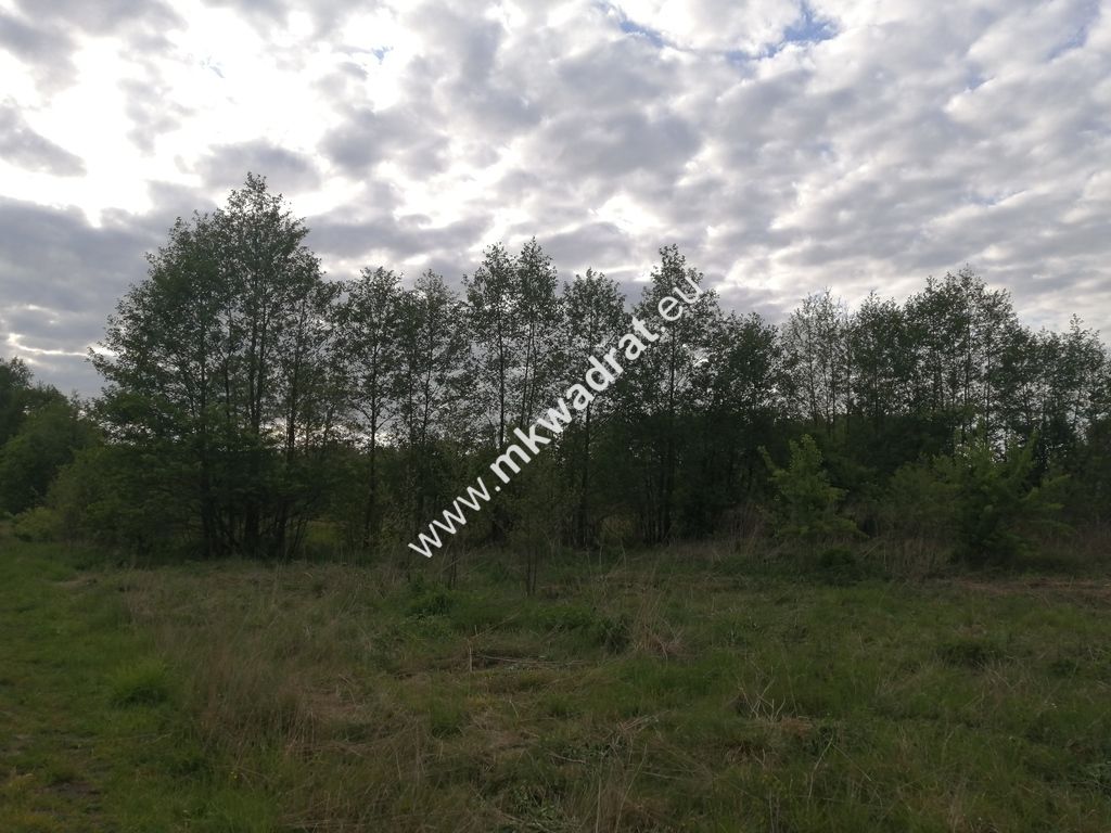 Działka budowlana Budy Zaklasztorne, mkwadrat.eu - najwięcej aktualnych sprawdzonych ofert!. Zdjęcie 2