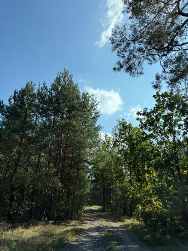 Działka budowlana Ruda-Czernik. Zdjęcie 3