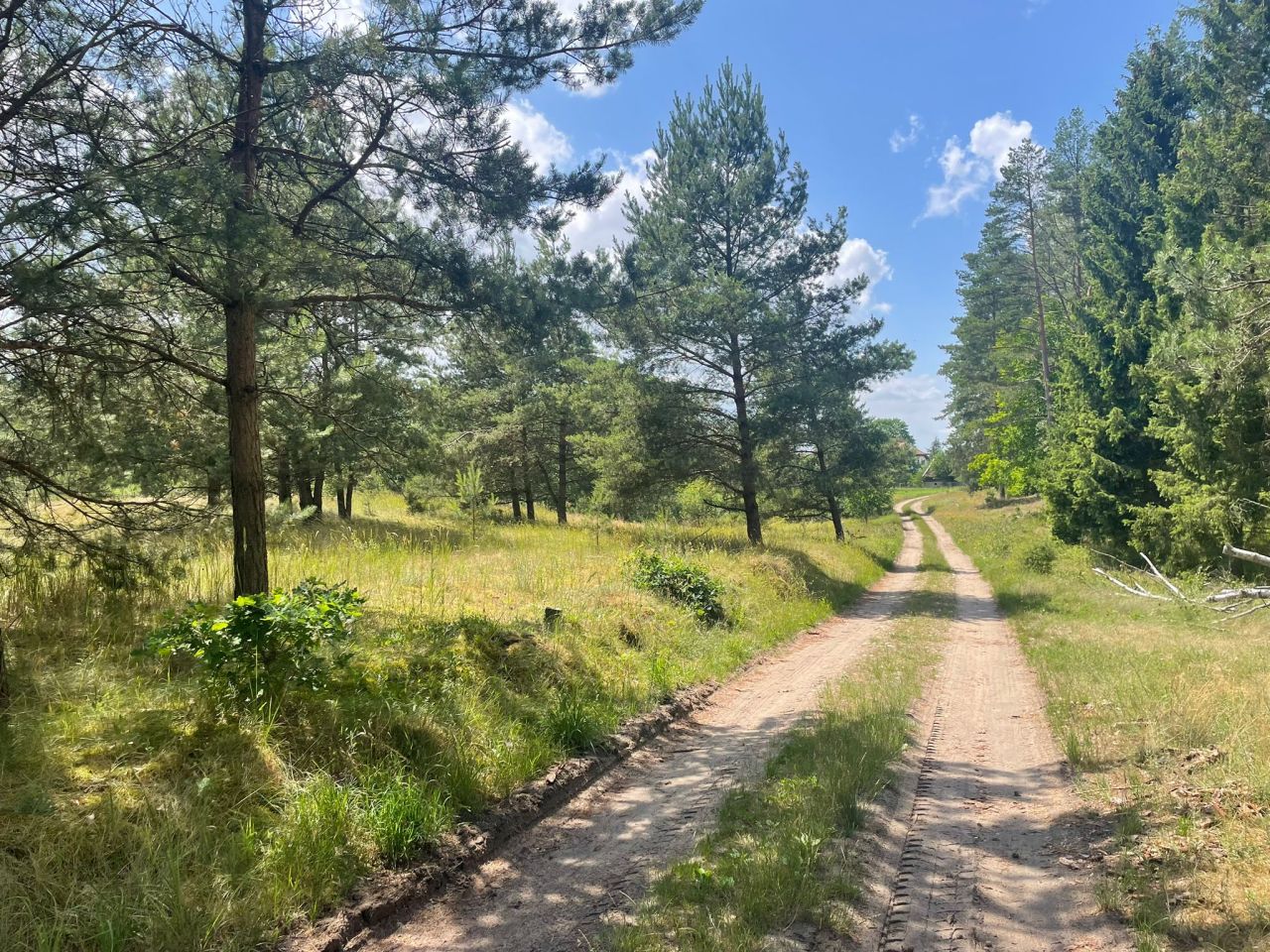 Działka budowlana Komorze. Zdjęcie 9