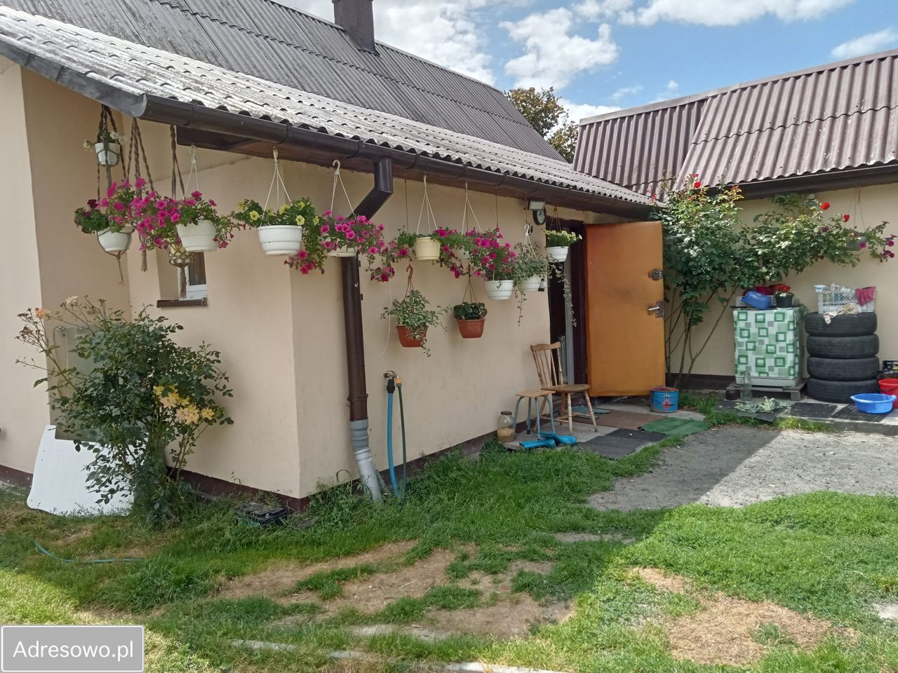 Działka rolno-budowlana Wygoda. Zdjęcie 7