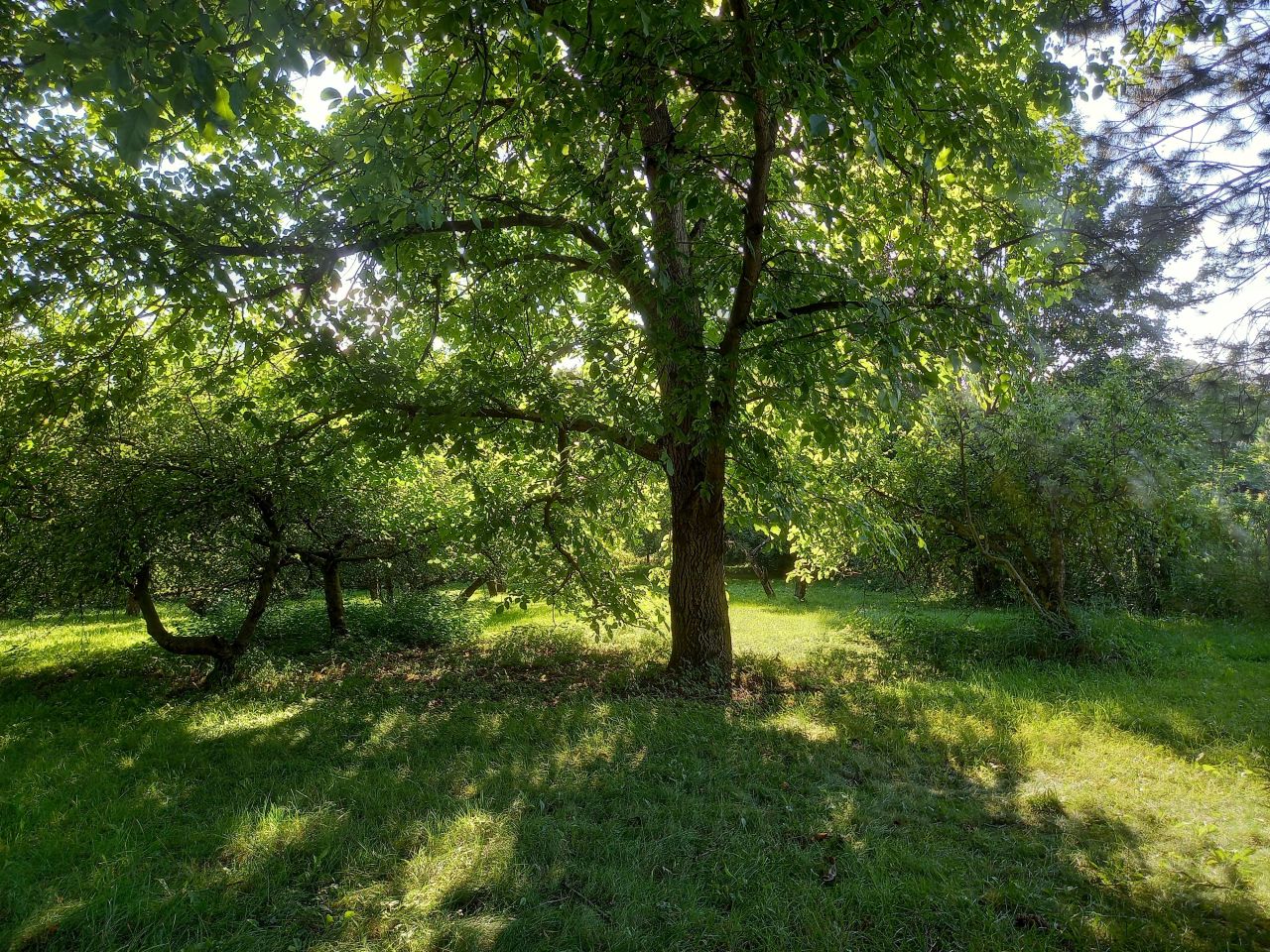 dom wolnostojący, 10 pokoi Cieszyn Gułdowy, ul. Gospodarska. Zdjęcie 17