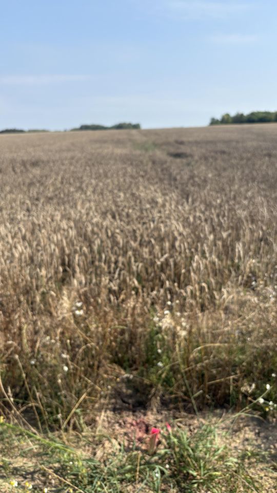 Działka rolno-budowlana Sierosławice Za Wiśniną, ul. Skalna. Zdjęcie 7