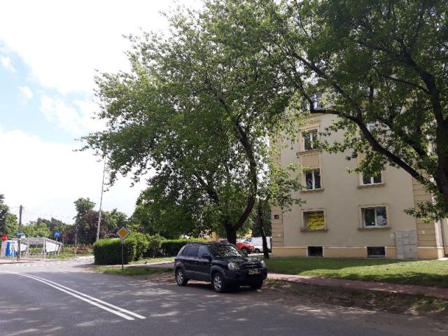 Mieszkanie 1-pokojowe Legionowo Centrum, ul. Handlowa. Zdjęcie 1